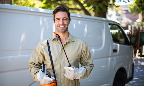 termite exterminator Dallas