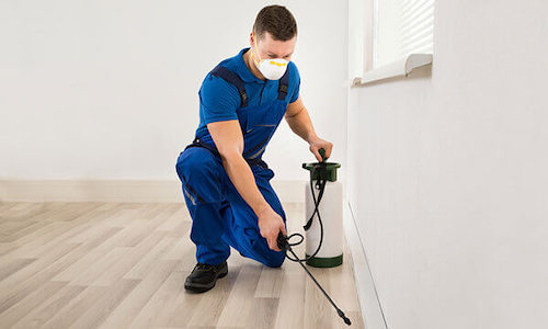 termite treatment Dallas